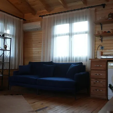 Hébergement de vacances Wood Muğla